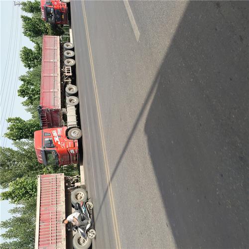 新疆貨運信息部貨源群新疆貨運信息部貨源群在哪里