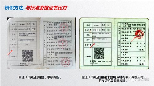 山西全球貨運(yùn)從業(yè)資格證山西全球貨運(yùn)從業(yè)資格證在哪里辦